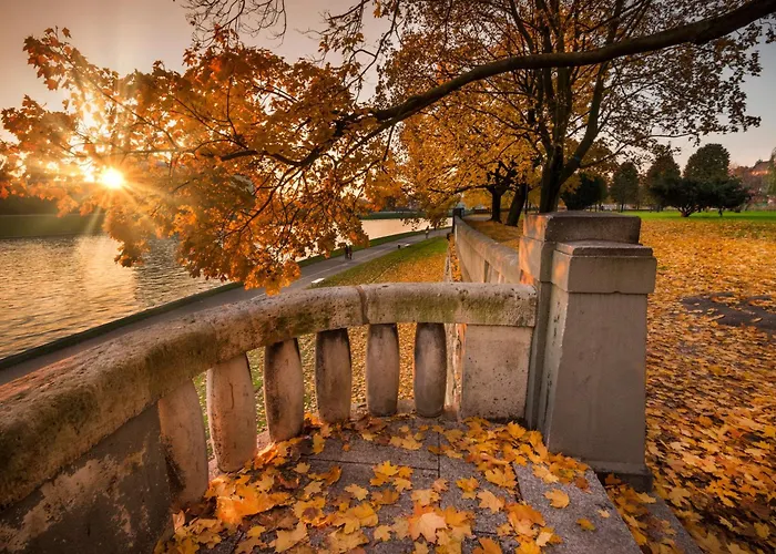 Wanna Na Starym Miescie *